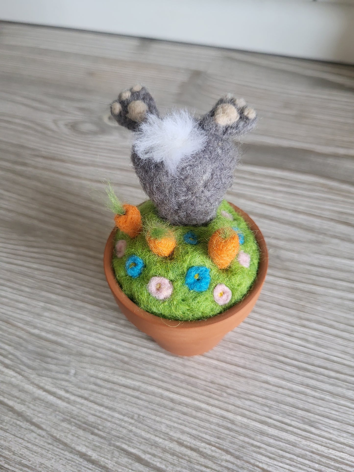 Mini ghiveci "Hoțul de morcovi"
