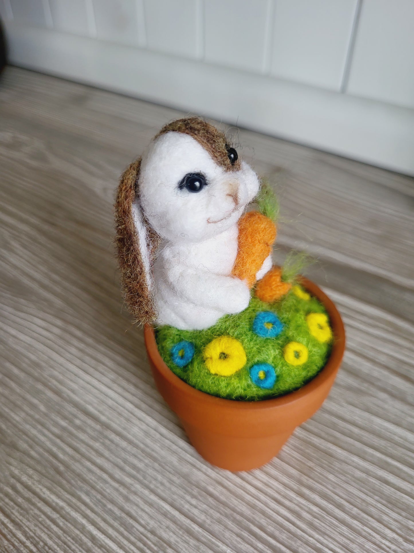 Mini ghiveci "Hoțul de morcovi"