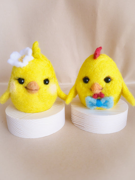 Set oua puisori