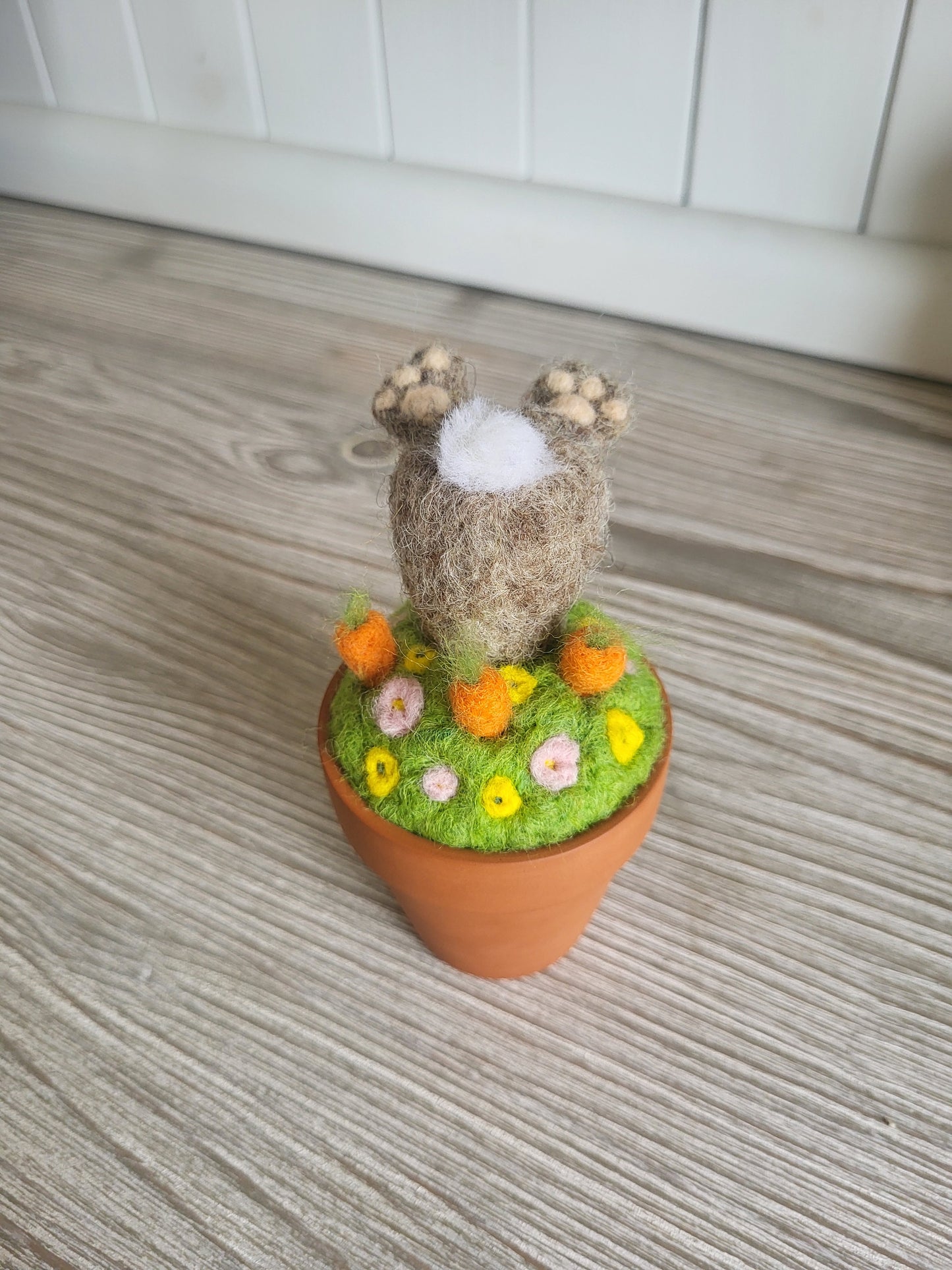 Mini ghiveci "Hoțul de morcovi"