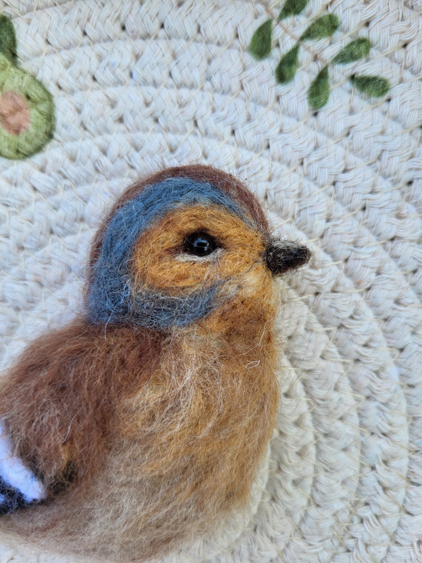 Broșă cinteză de pădure