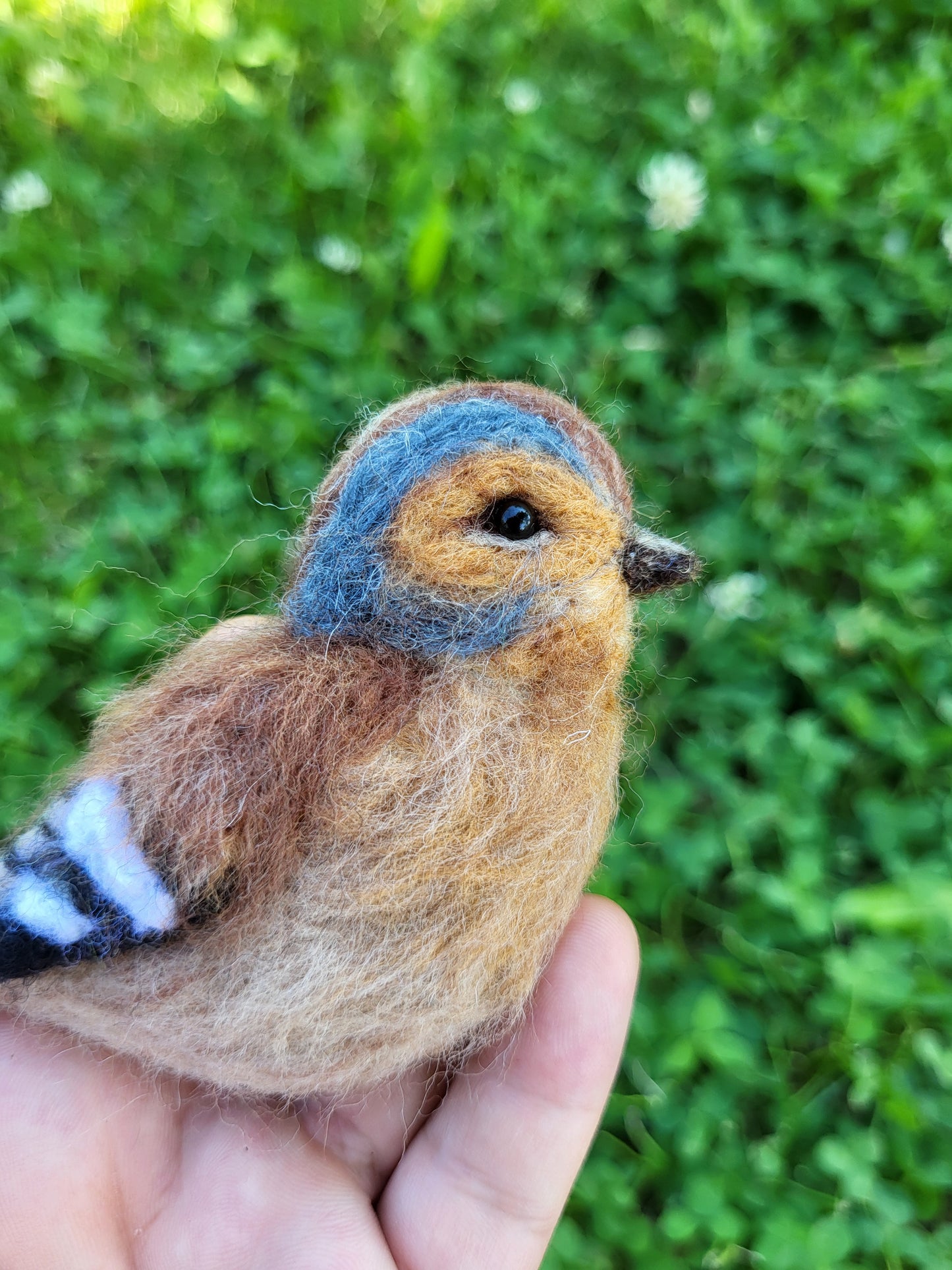 Broșă cinteză de pădure