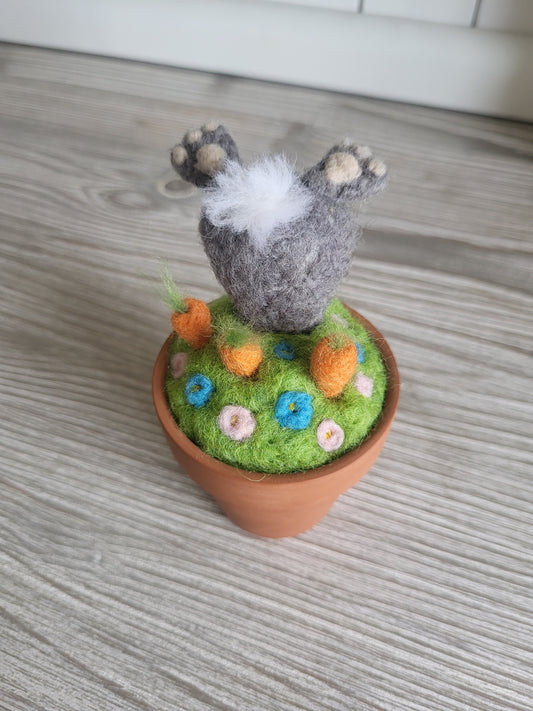 Mini ghiveci "Hoțul de morcovi"