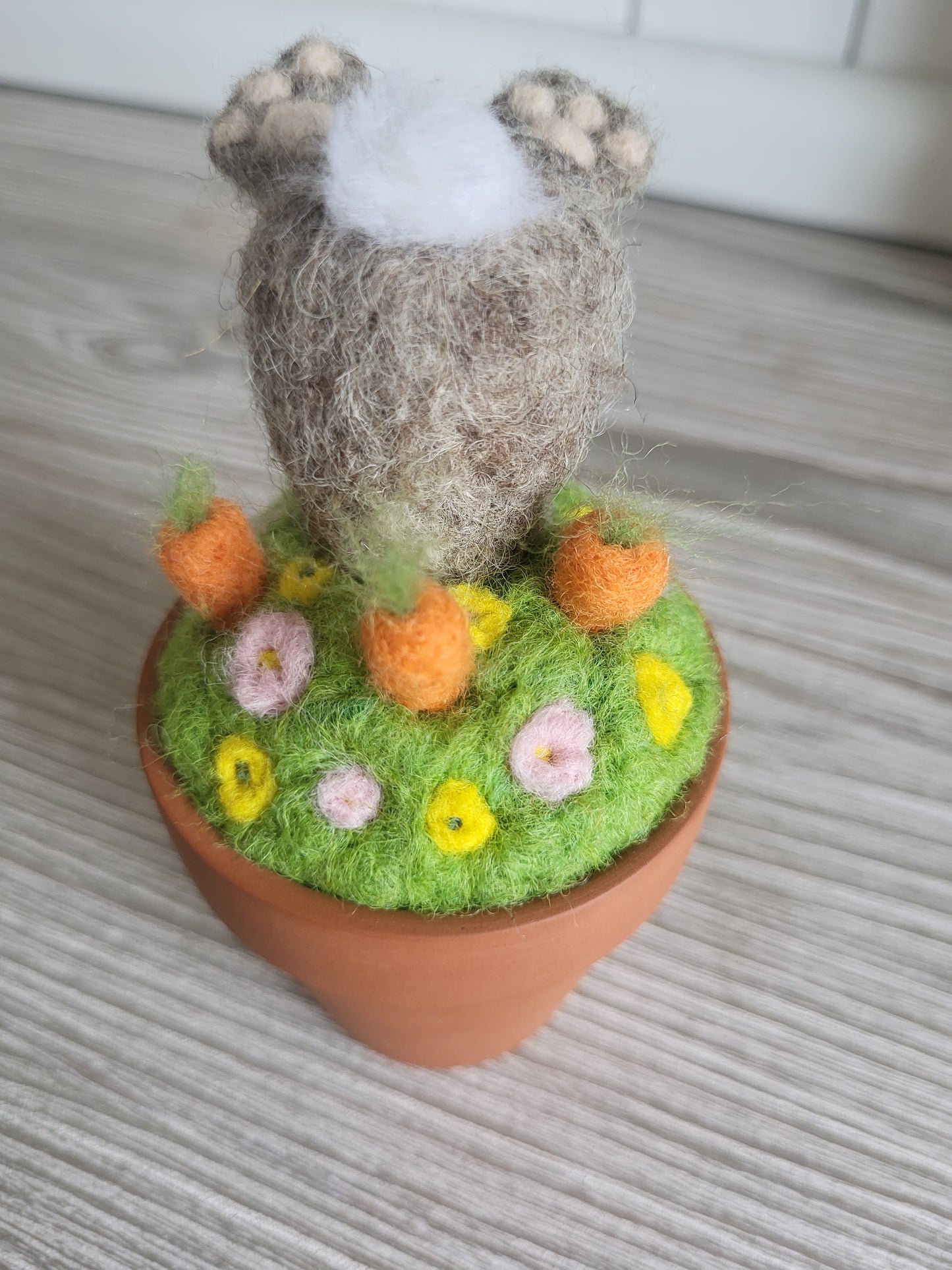 Mini ghiveci "Hoțul de morcovi"