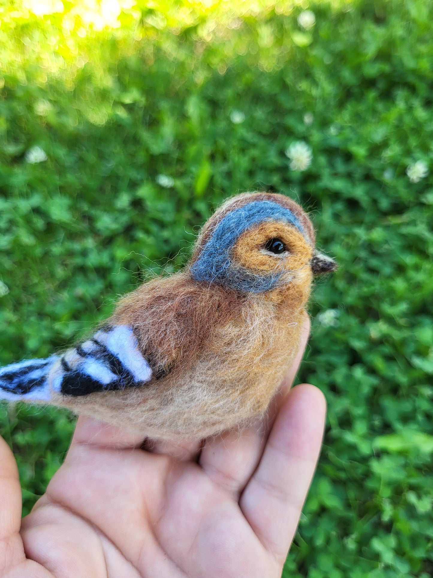 Broșă cinteză de pădure
