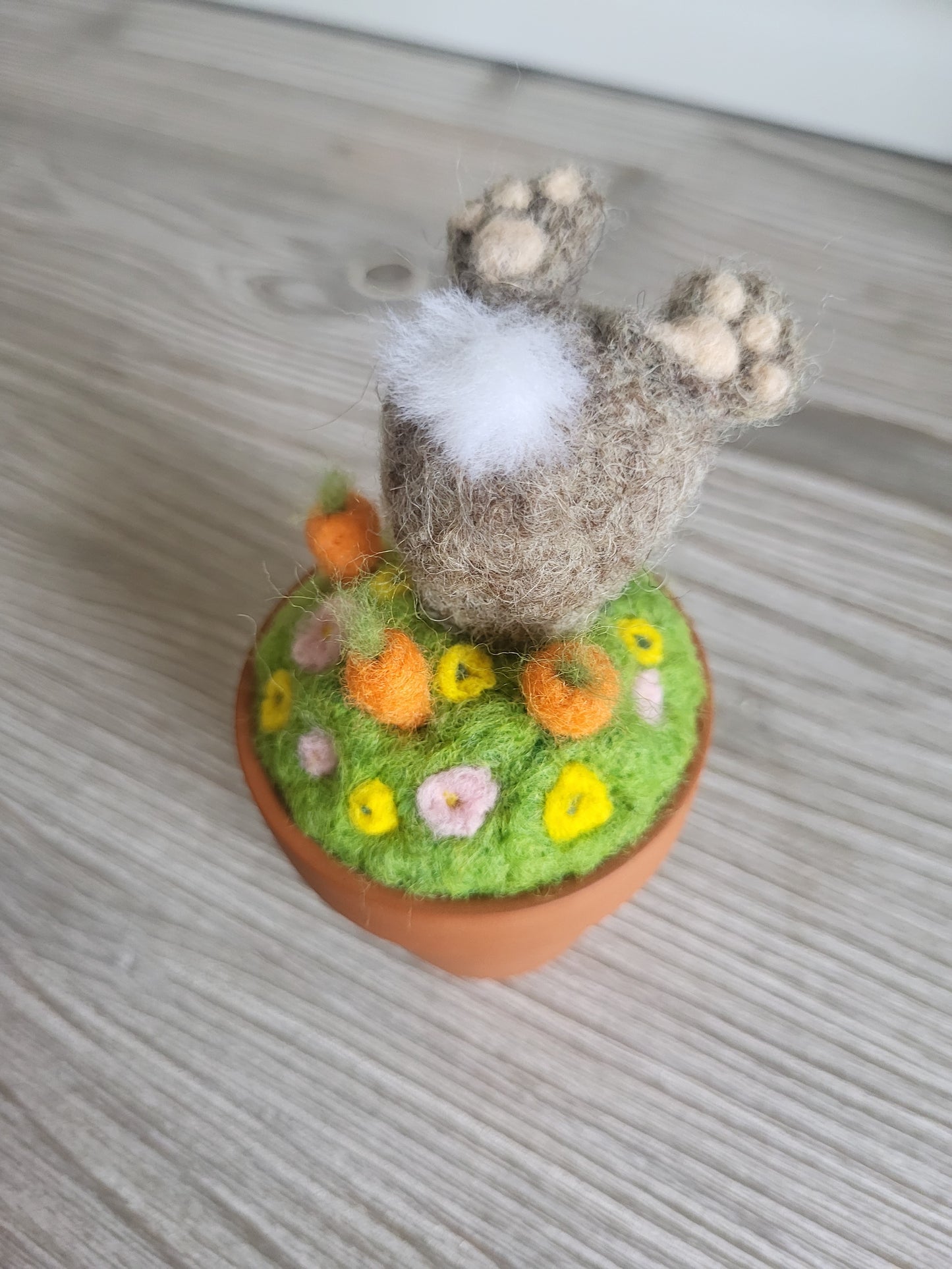 Mini ghiveci "Hoțul de morcovi"