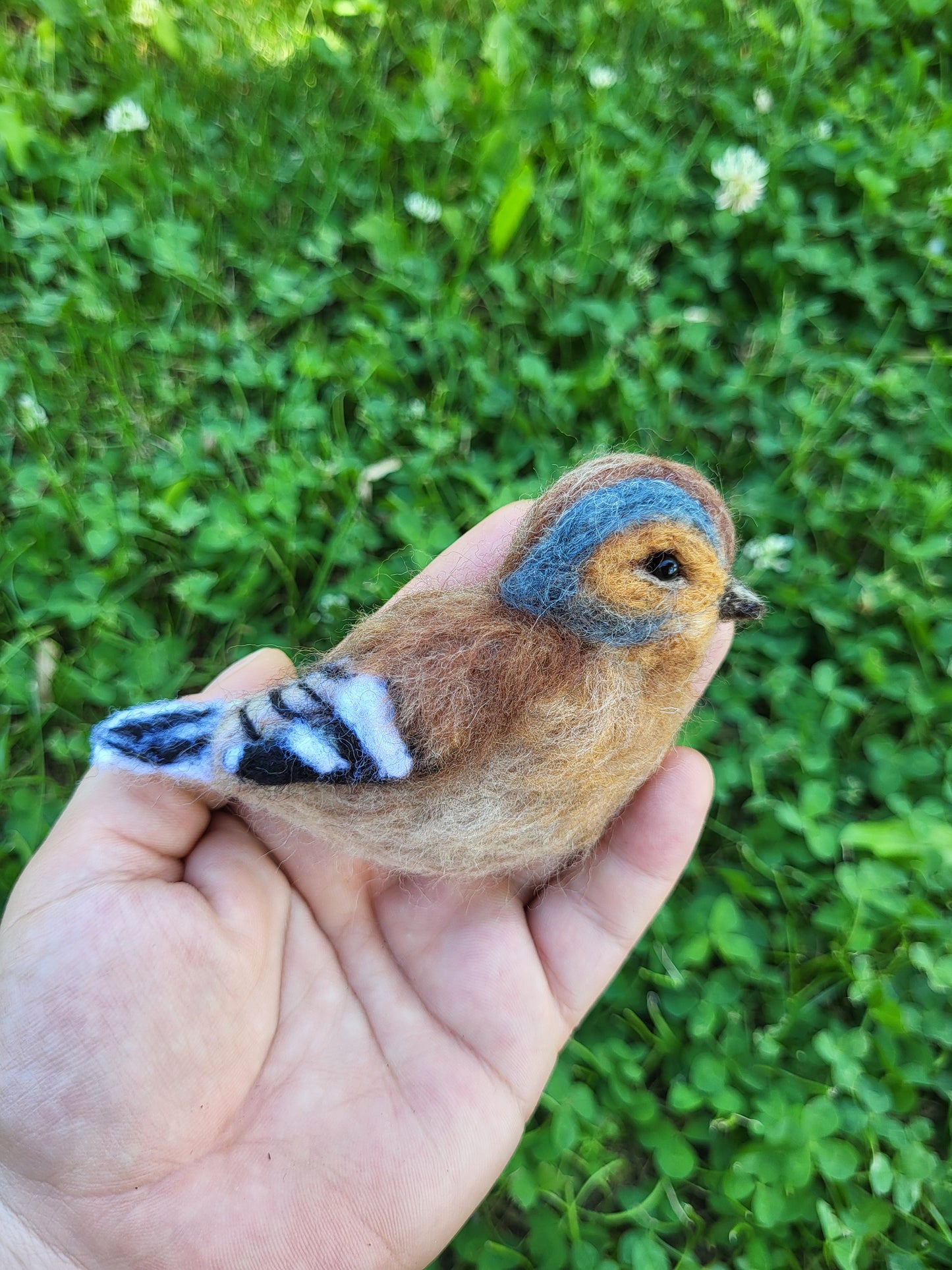 Broșă cinteză de pădure