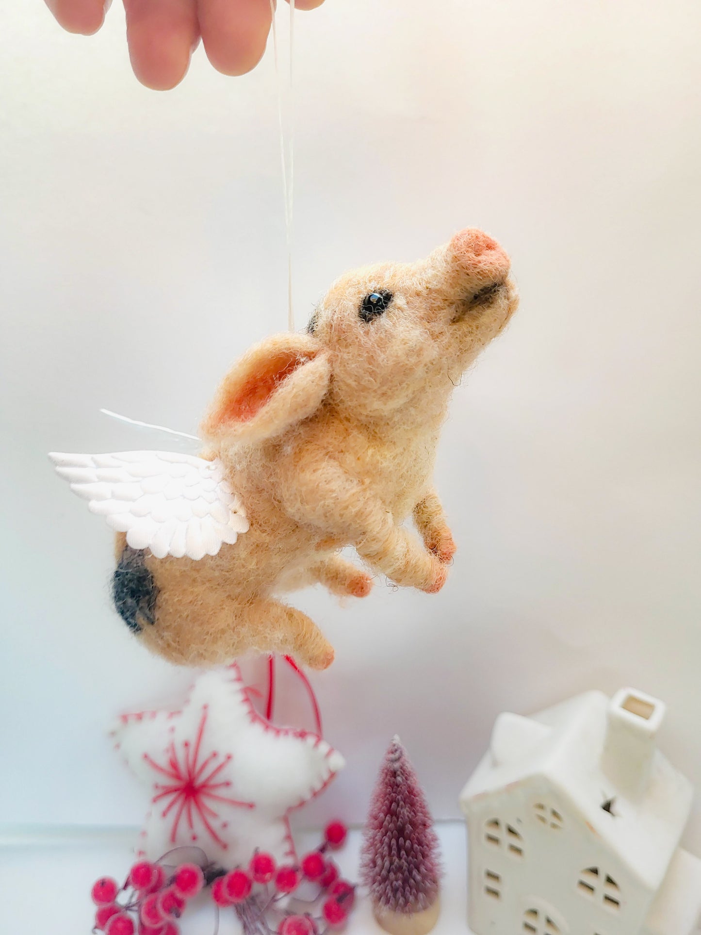 Ornament "Când o zbura porcu'"