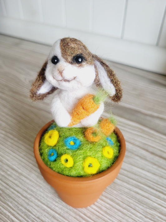 Mini ghiveci "Hoțul de morcovi"