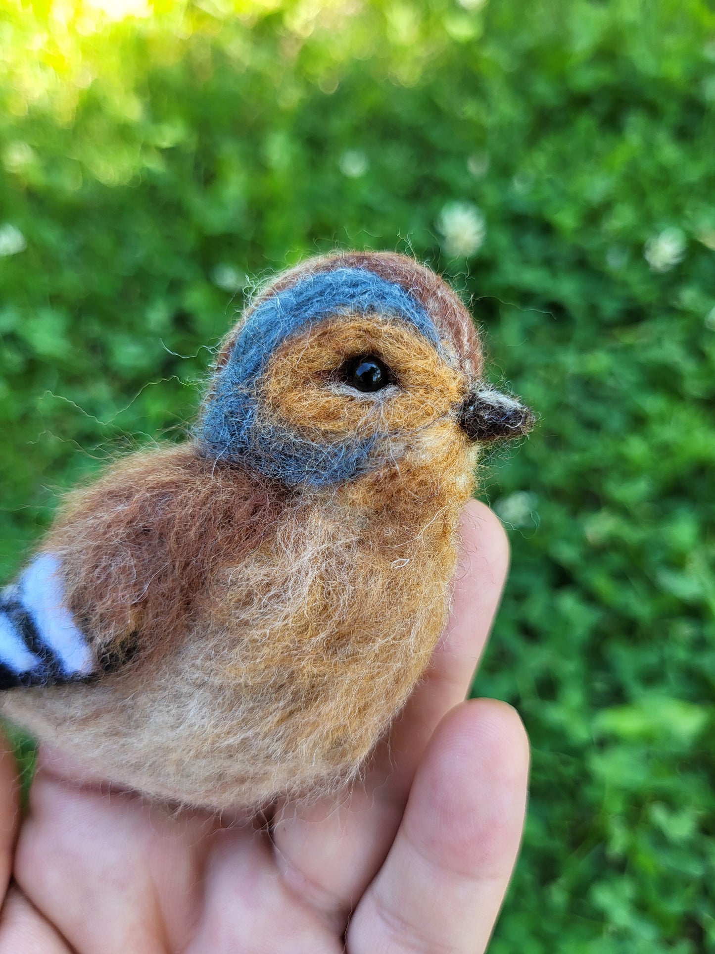 Broșă cinteză de pădure